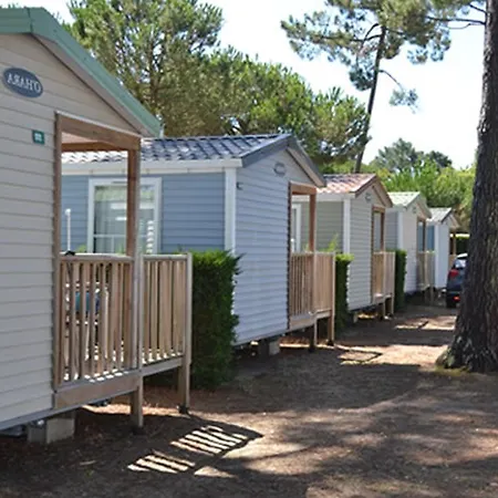 Camping Cote O L'estanquet 4* لا بالمير